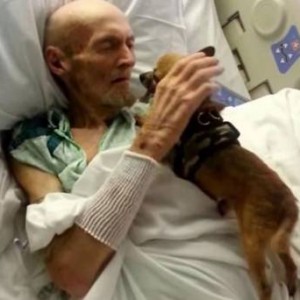 A Tale Of Canine Kindness